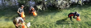 En bref : Journée mondiale des zones humides au parc national de forêts
